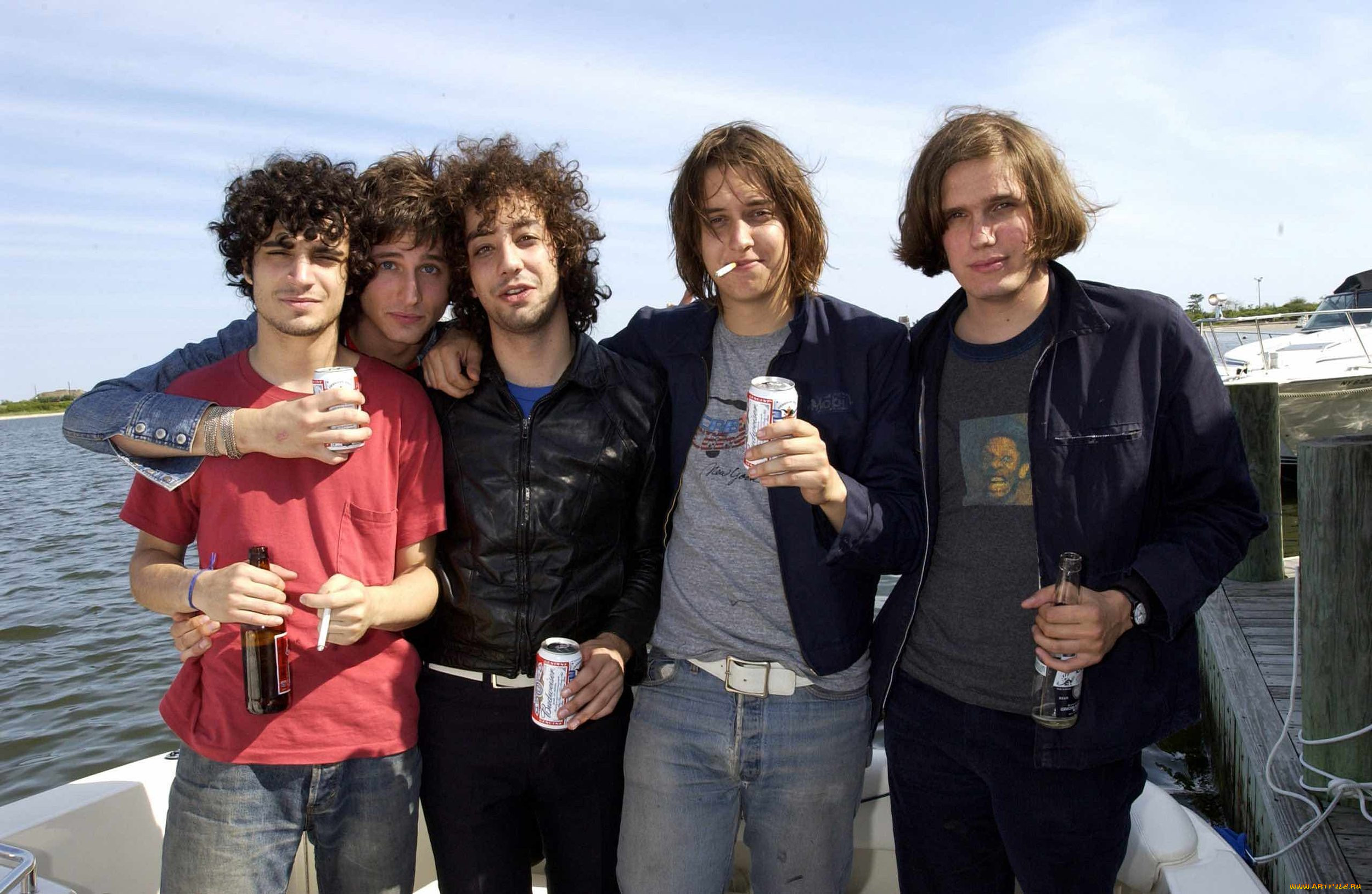 the strokes, , 